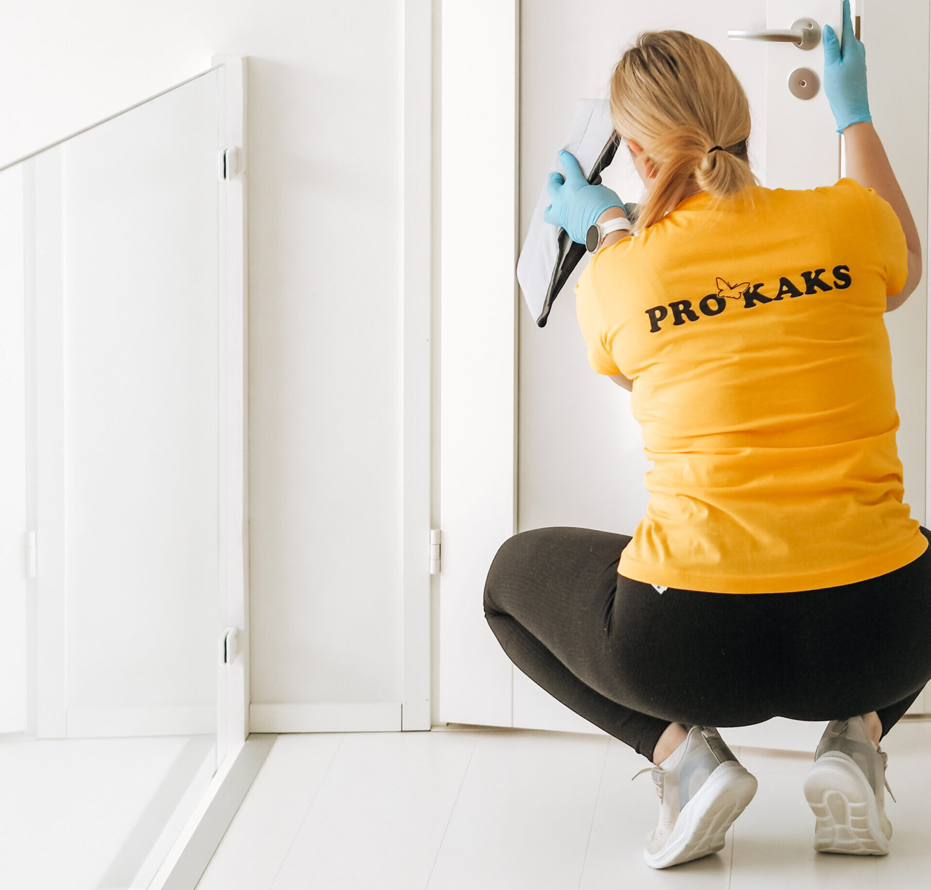 Kotisiivous, Pro-Kaks siivouspalvelut Oy